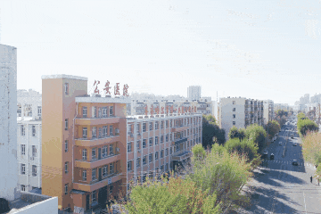 26.gif 26.gif